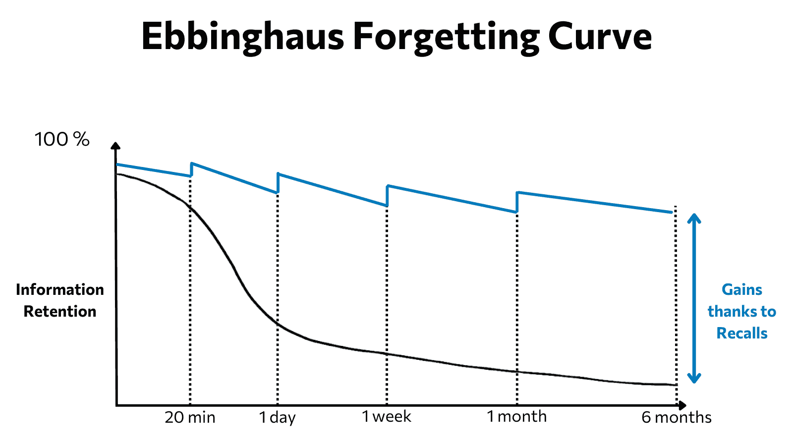 The Ebbinghaus Curve for continuous improvement