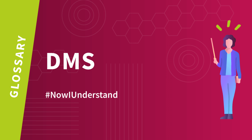 Glossary : Daily Management System