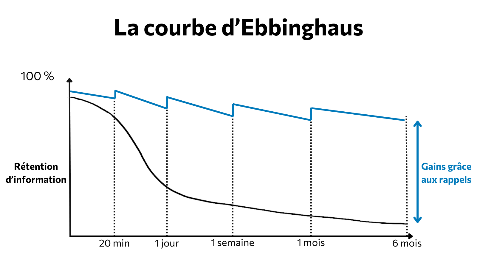 La courbe d’Ebbinghaus au secours de l’amélioration continue